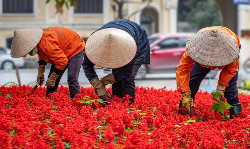 Urban gardening